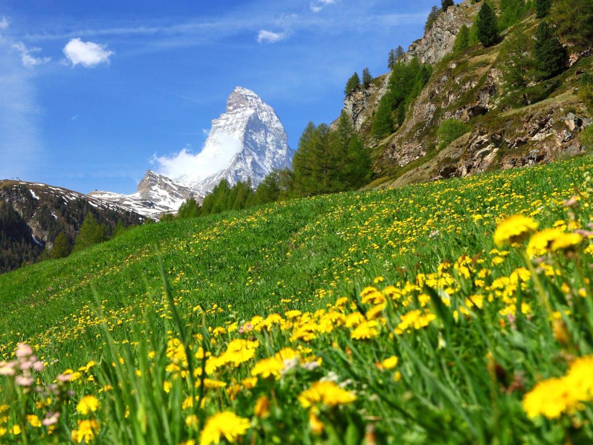Fis By Interhome Appartement Zermatt